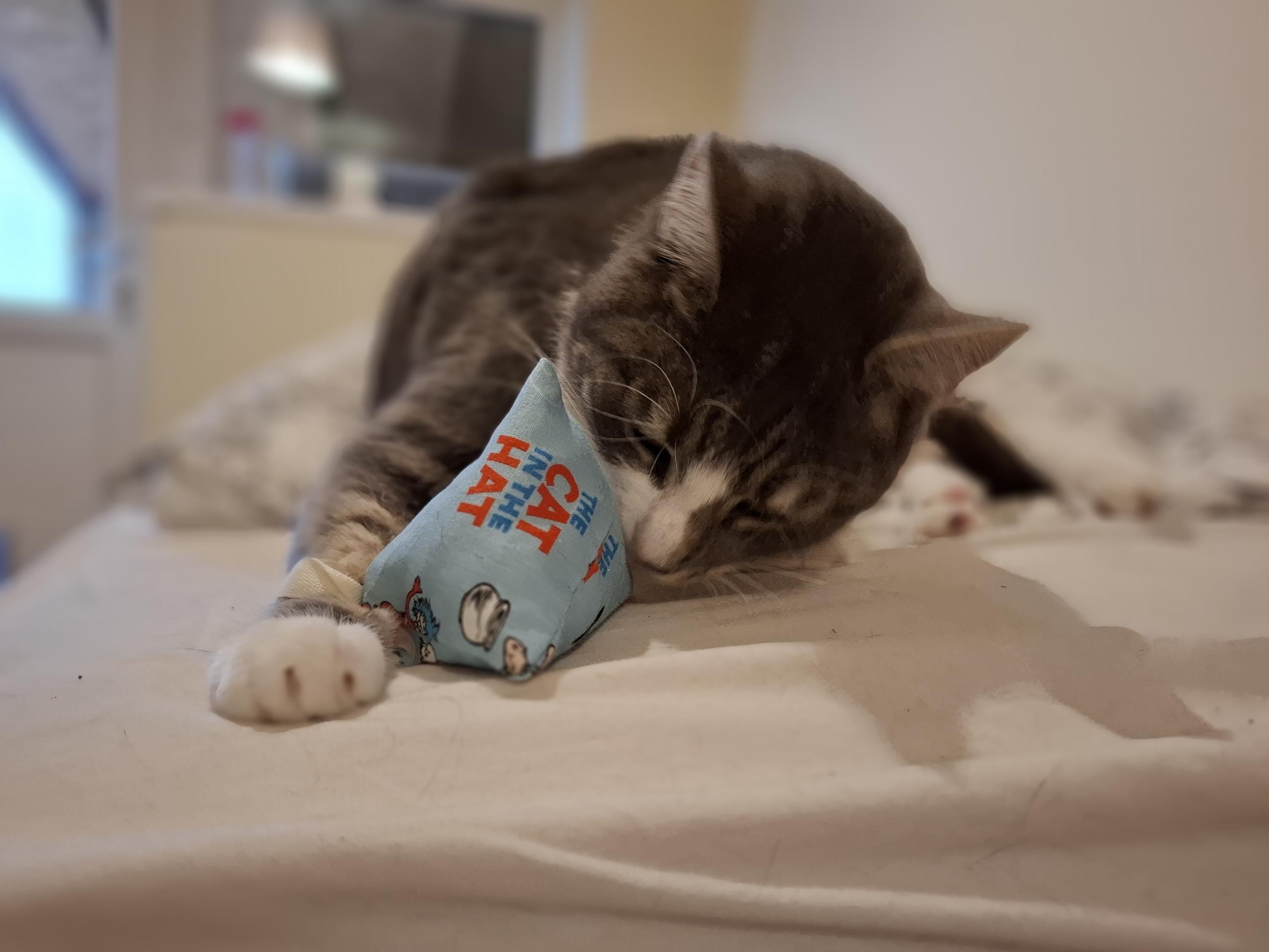 Catnip pyramid teabag cat toys Set of 3