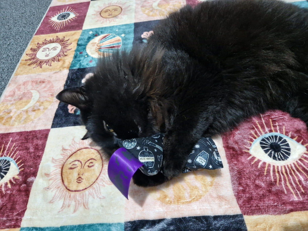 Winnie's Halloween catnip toys selection pack