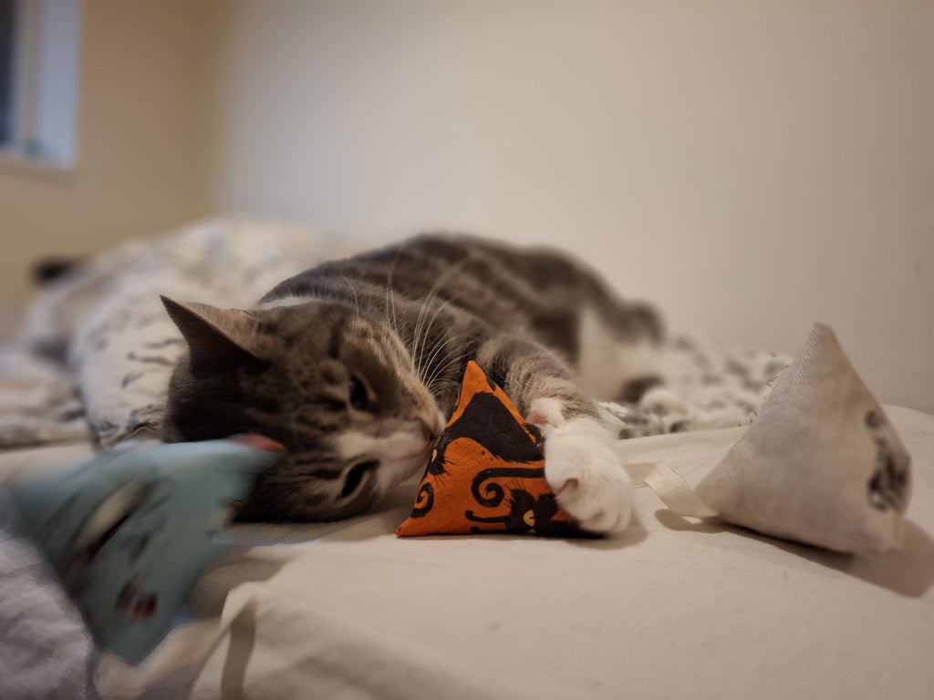 Catnip pyramid teabag cat toys Set of 3