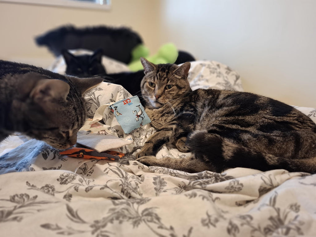 Terry's teabags Set of 4 catnip pouches