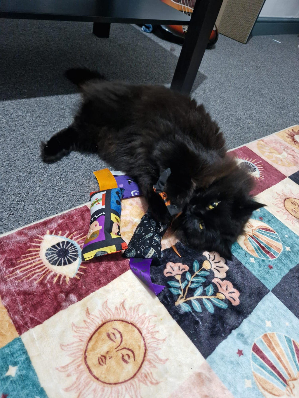Winnie's Halloween catnip toys selection pack