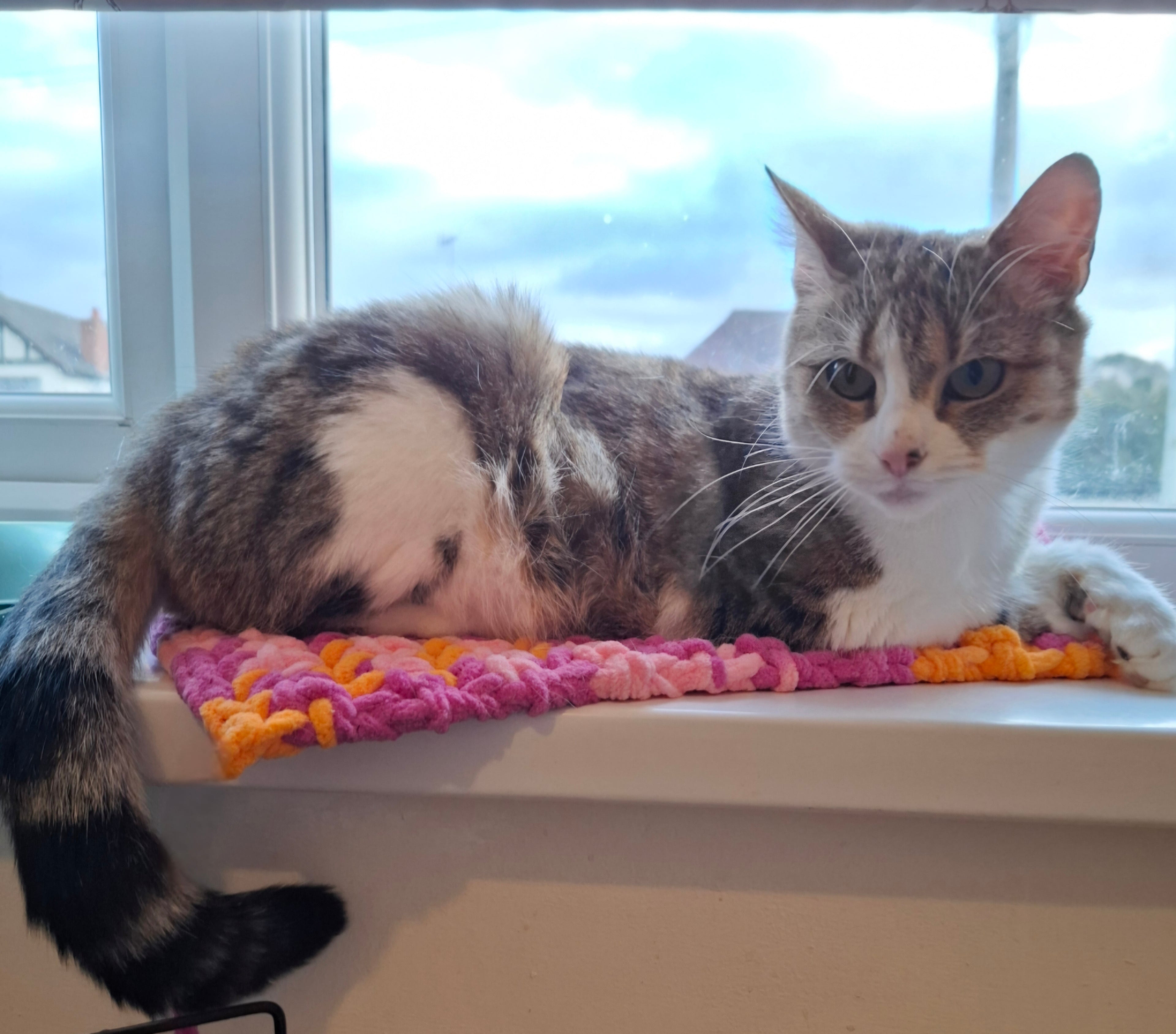 Bunny's sun puddle poddle pad